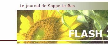 Flash 313 été 2015_couv