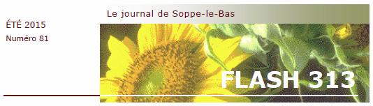 L’édition d’été du Flash 313 est désormais disponible !