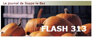 Flash 313 automne_couv