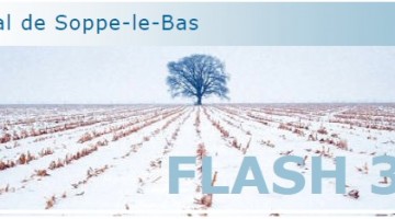 Flash 313 Hiver_couv_2