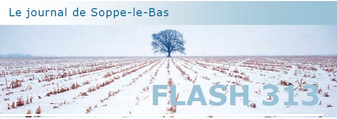 L’édition d’hiver du Flash 313 est désormais disponible ! Flash 313 Hiver_couv_2