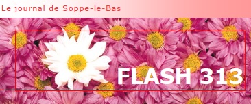 L’édition de printemps du Flash 313 est désormais disponible ! Flash_couv_printemps