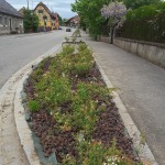 Photo parterre Journée citoyenne 2016