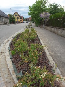 Photo parterre Journée citoyenne 2016