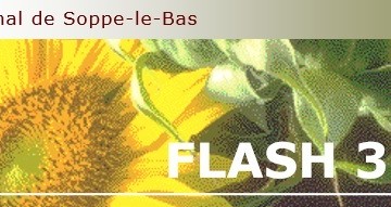 Flash_couv_été
