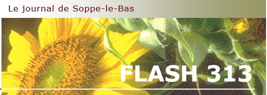 L’édition d’été du Flash 313 est désormais disponible ! Flash_couv_été