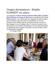 Extrait site conseillers départementaux