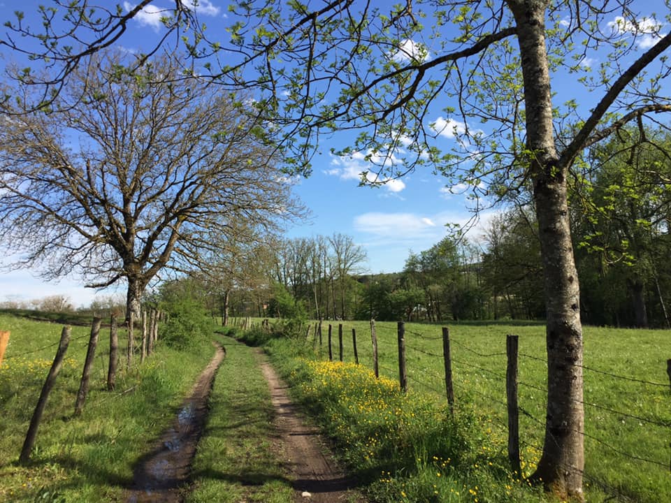 Chemin vers Goldschmitt de Sandrine Jenn 3