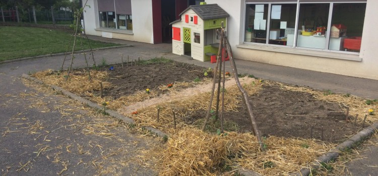 Jardin éco responsable à l’école maternelle Jardin ECO responsable
