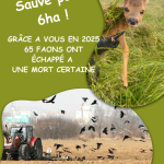 Sauvetage des faons 1
