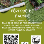 Sauvetage des faons