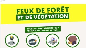 Feux2